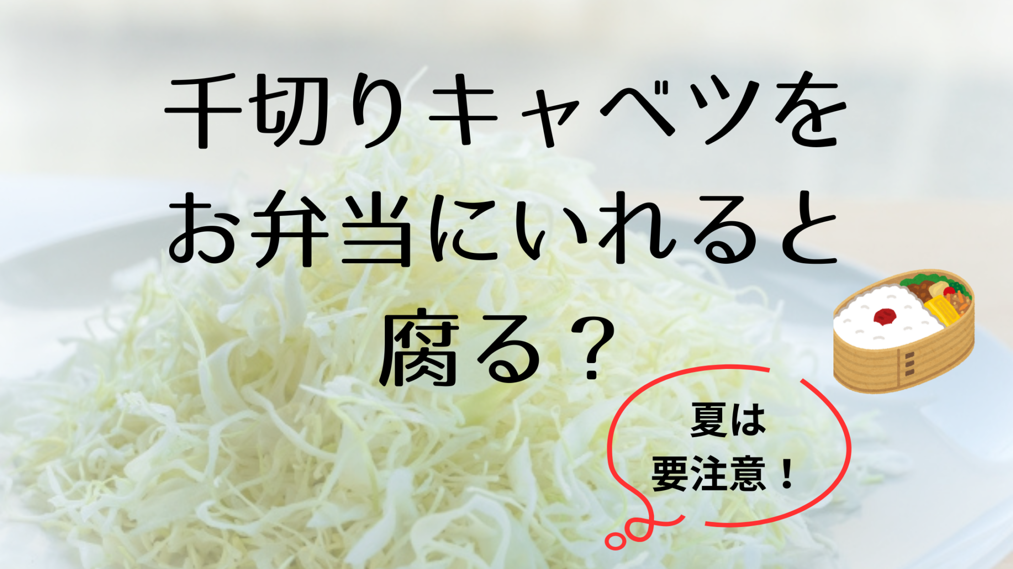 千切りキャベツはお弁当に入れると腐る危険性あり!!お弁当に入れる際の注意点と対策を解説! | ちびっこ3人ママのリサーチ情報